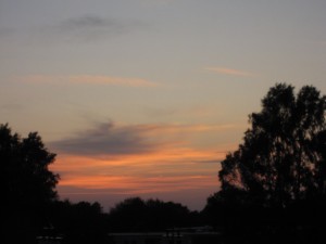 IMG_1882 Home