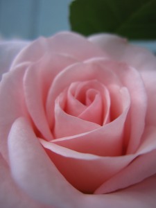 princess pretty